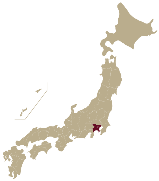 全国大会